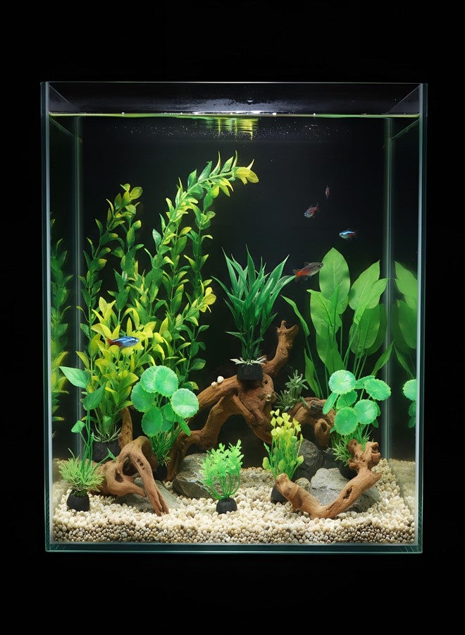 Solsew 16 Pcs Aquarium Decor Fish Tank Decorations Include 6 Small Natural Coral Driftwood Spiderwood and 10 Green Plastic Plants for Reptile Terrarium Accessories Goldfish Tank Decor - Image 5